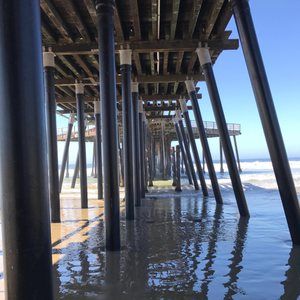 Meet your Posher, Rick